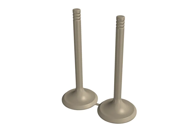 Concept CAD rendering for 993-eng-exhaust-valve-f1-0001.