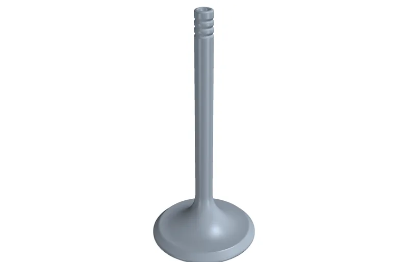 Concept CAD rendering for 993-eng-intake-valve-ti64-hollow-f0-0001.